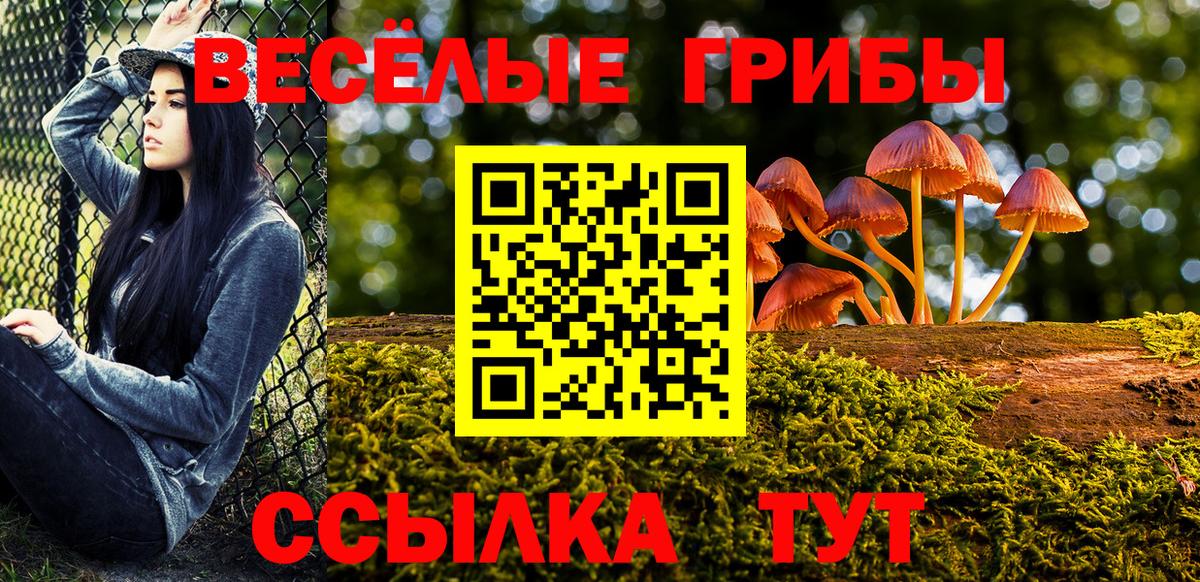 Чита  Галлюциногенные грибы мицелий  Вход с VPN 