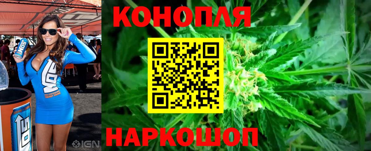 Шишки марихуана OG Kush Чита
